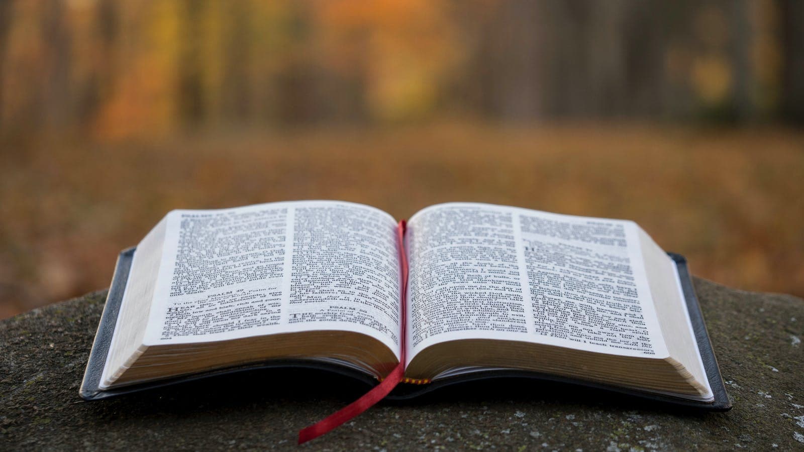 Ambassador Bible Fellowship